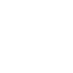 LSB Sachsen-Anhalt e.V.